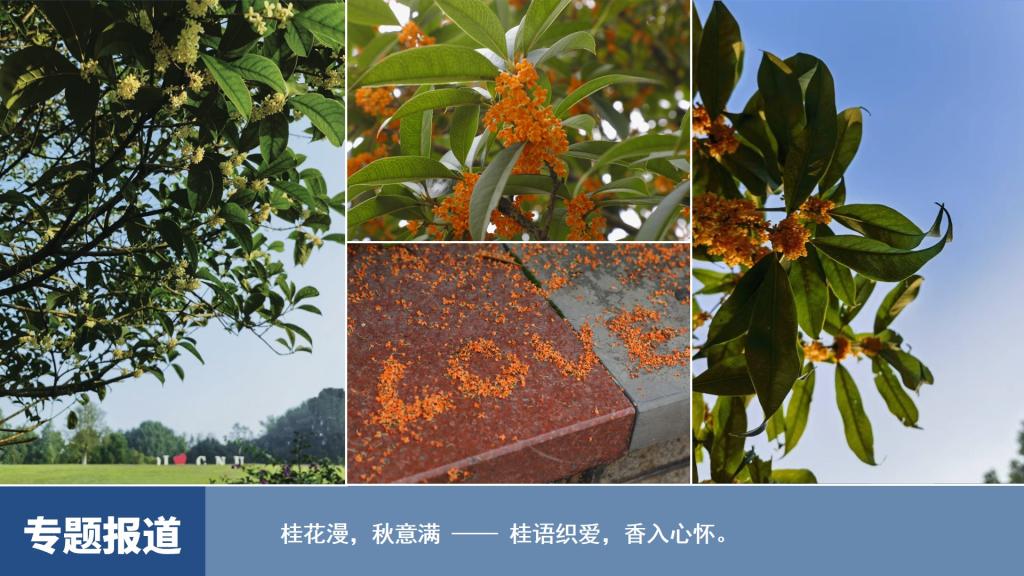 图说一周重师（2025年10月27日