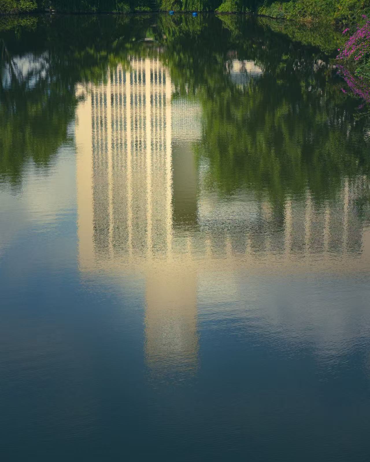 上一篇：桂香