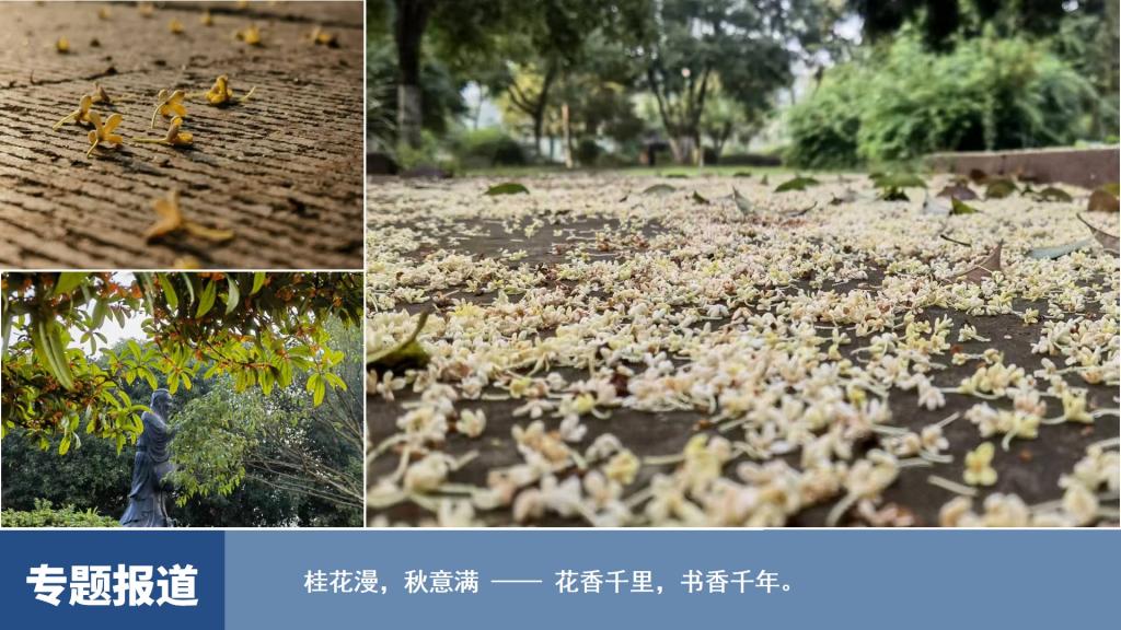 烽火体育sneaker之家平台介绍