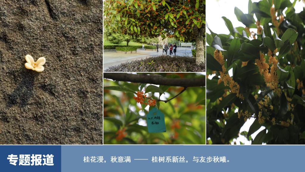 烽火体育sneaker之家平台介绍经纬