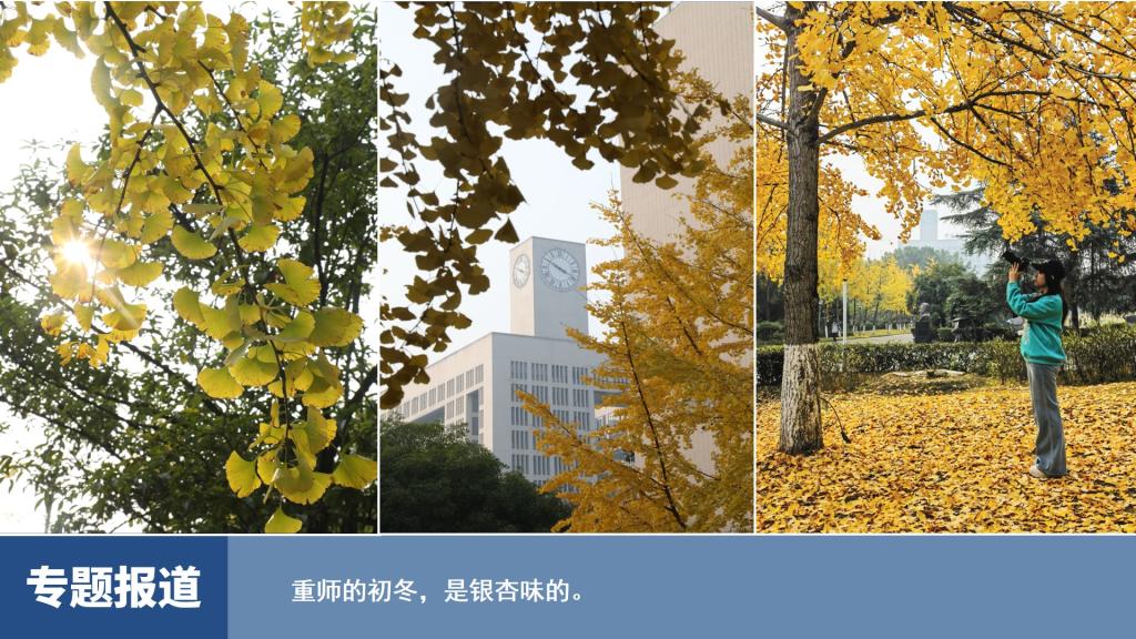烽火体育
